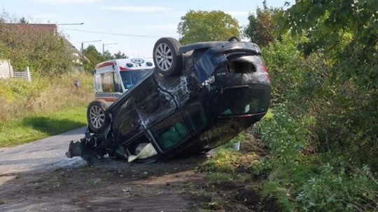 Dachowanie przez… owada na trasie Sypniewo–Jastrowie
