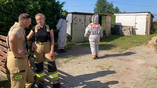 Dramatyczne odkrycie w Lotyniu