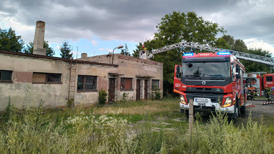 Interwencyjne podsumowanie lipca w powiecie złotowskim