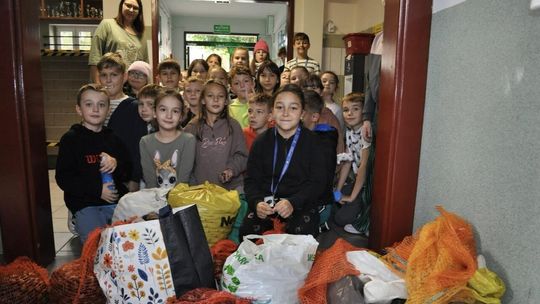 Kasztany zabieramy, zwierzętom pomagamy! – akcja w SP1 w Złotowie