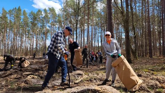 Las posadzony wspólnymi siłami. Mieszkańcy połączyli siły dla natury