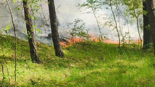 Maj pod znakiem interwencji – złotowscy strażacy podsumowali działania
