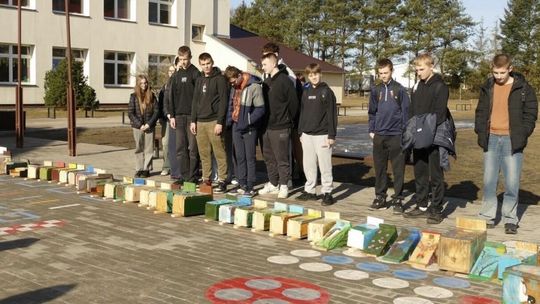 Nowe osiedla dla ptaków w Zakrzewie