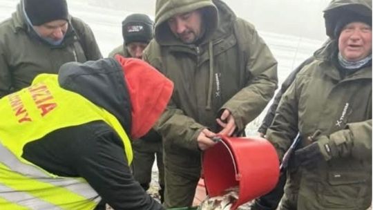 Podlodowe Mistrzostwa Koła PZW Jastrowie – zimowa rywalizacja o tytuł mistrza