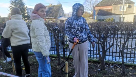 Posadzili drzewa przy Szpitalu Powiatowym im. Alfreda Sokołowskiego w Złotowie – symbol życia, nadziei i troski o przyszłe pokolenia