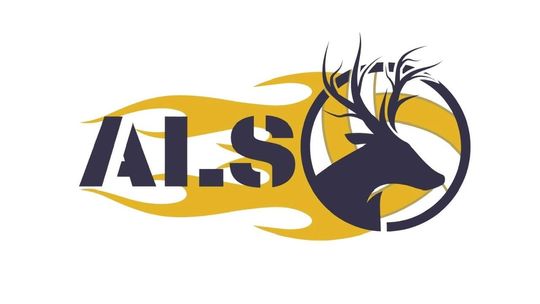 Rusza Złotowska Liga Siatkówki GOLDEN LEAGUE