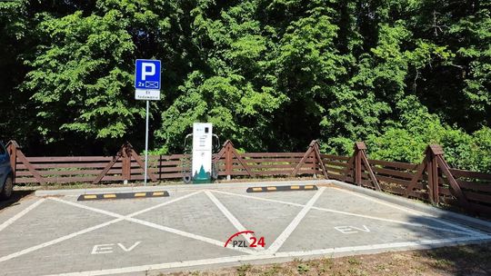 Samochód elektryczny na leśnej trasie? Teraz naładujesz go w Nadleśnictwie Lipka