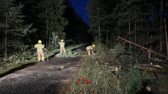 Silny wiatr powalił drzewa. Strażacy interweniowali na trasie Krępsko–Stacja Płytnica