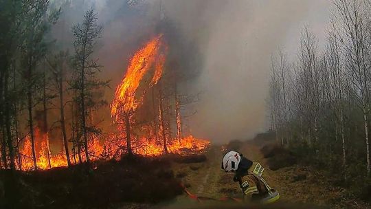 Strażacki bilans kwietnia – 99 interwencji w powiecie złotowskim