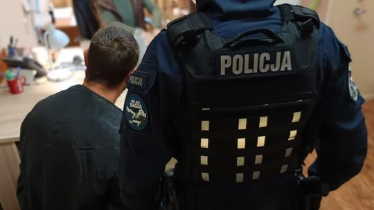 Tarnówka: 34-latek usłyszał zarzut znieważenia policjanta podczas dożynek