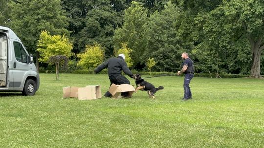 Trwa święto Policji w Złotowie – Piknik z Policją na Półwyspie Rybackim