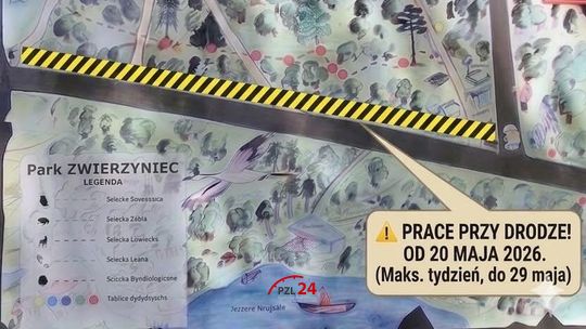 Uwaga kierowcy i spacerowicze. Prace w Parku Zwierzyniec przy trasie Złotów – Blękwit