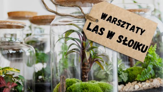 Warsztaty "Las w słoiku" w Uniwersytecie Ludowym