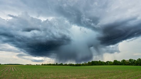 Zmiany klimatu a Wspólna Polityka Rolna