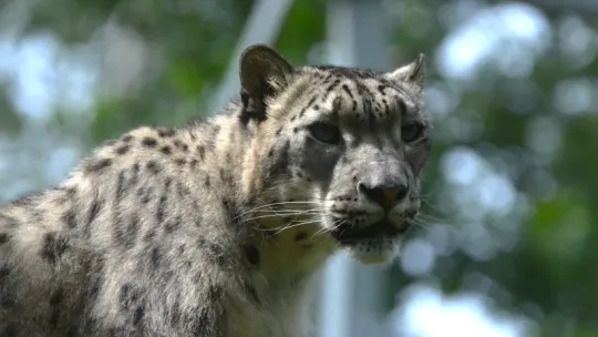 ZOO Bydgoszcz – poznaj cennik, godziny otwarcia i zaplanuj idealną wizytę w krainie zwierząt!