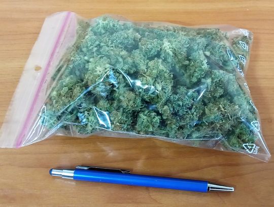  50 gramów marihuany