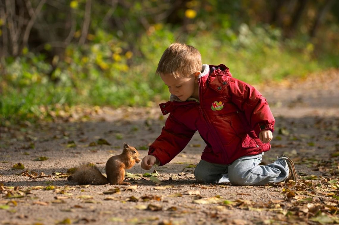 673 przedszkola w województwie wielkopolskim uczy dzieci jak dbać o naturę 
