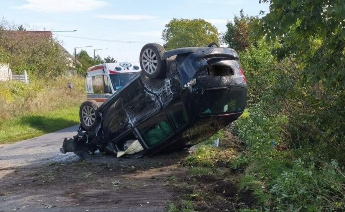 Dachowanie przez… owada na trasie Sypniewo–Jastrowie
