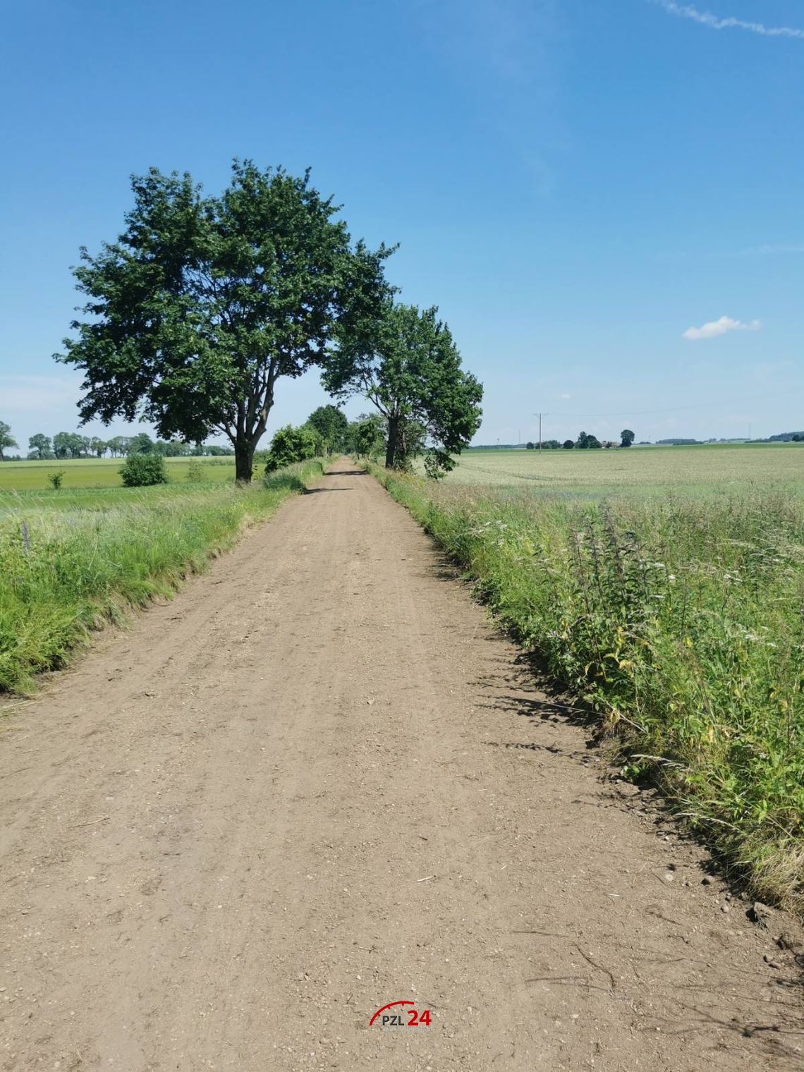 Gratka dla rowerzystów. Dawna linia kolejowa zyskała nowe życie