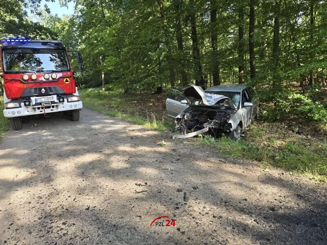 Groźny wypadek na leśnej drodze. Audi zostało doszczętnie zniszczone
