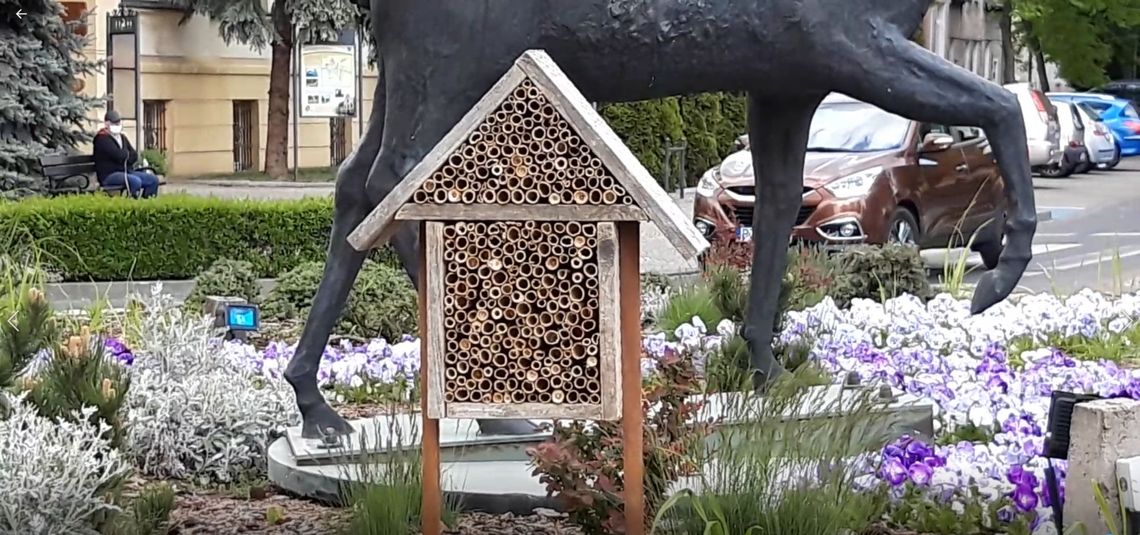 Hotel dla Pszczół