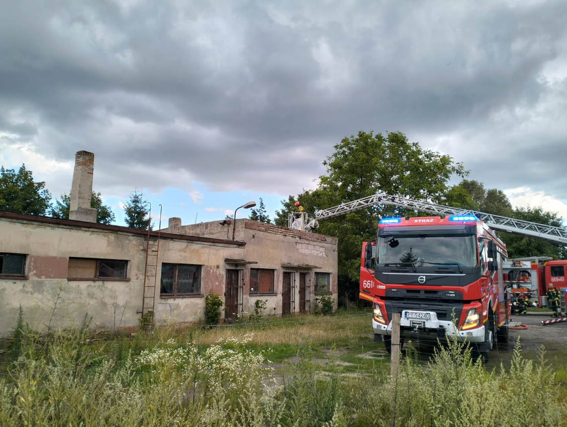 Interwencyjne podsumowanie lipca w powiecie złotowskim
