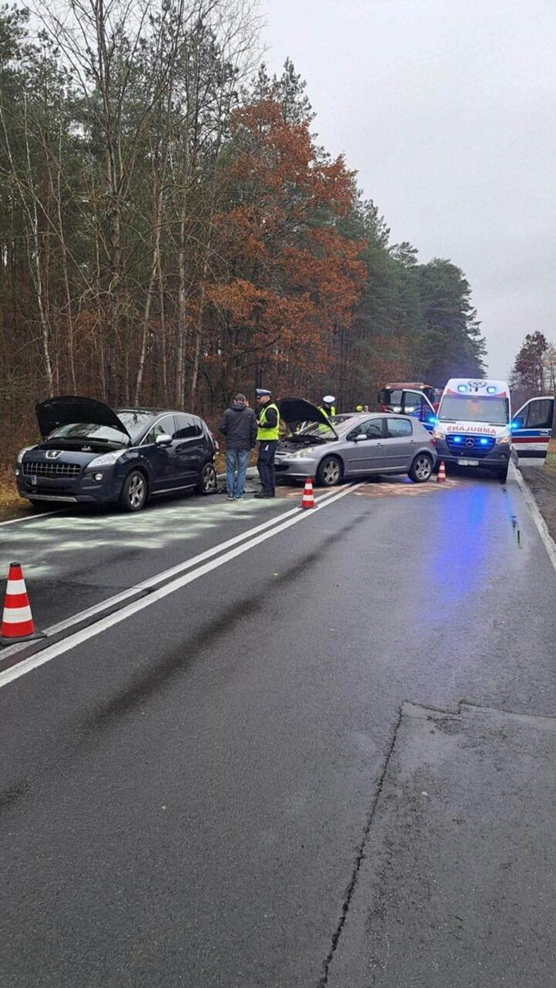 Kolizja na drodze krajowej nr 11 – interweniowali strażacy i ratownicy medyczni