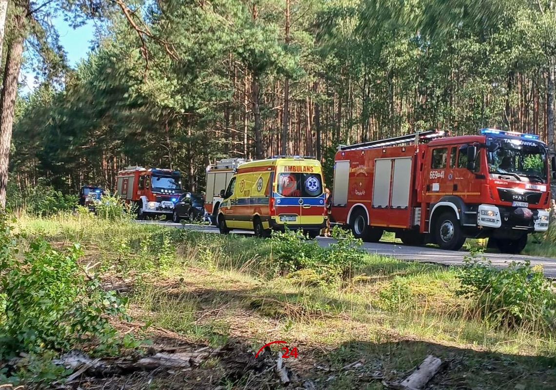 Mężczyzna wezwał pomoc z lasu. Twierdził, że zjadł trujące grzyby