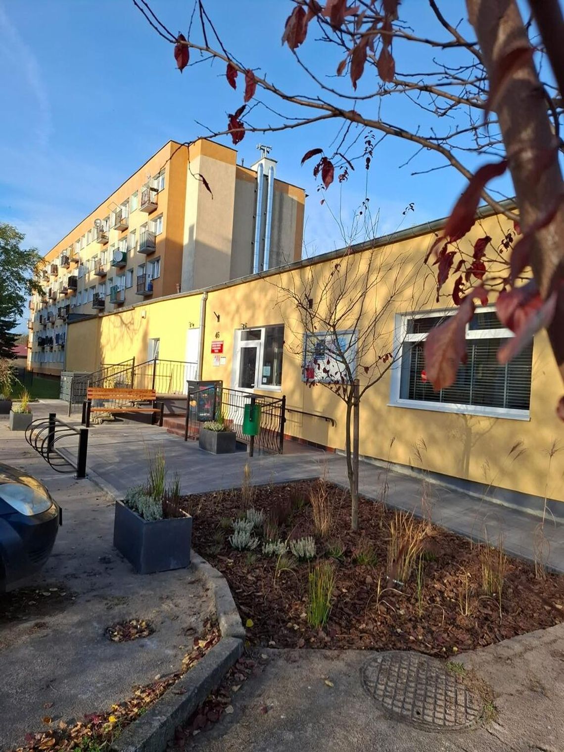 „Ogród książki” rozkwitł przy Bibliotece w Okonku – nowe, przyjazne miejsce dla mieszkańców