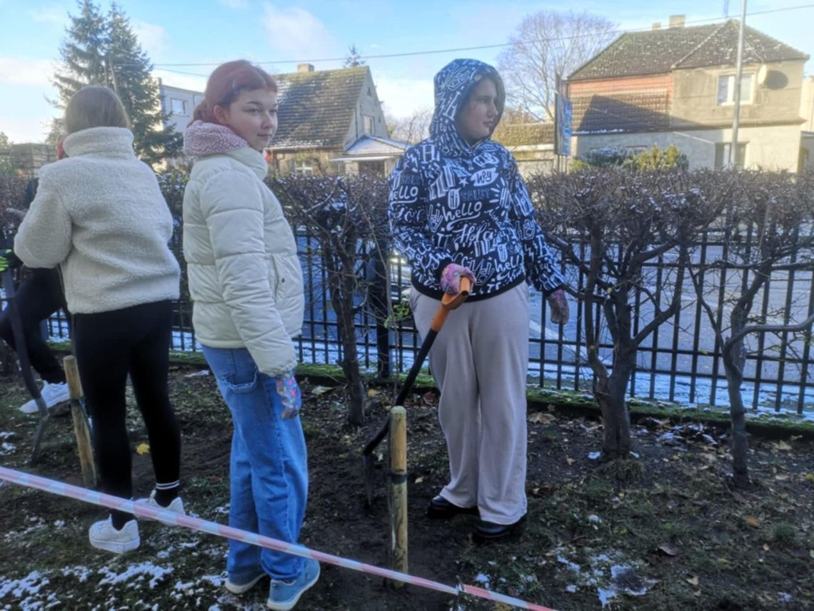 Posadzili drzewa przy Szpitalu Powiatowym im. Alfreda Sokołowskiego w Złotowie – symbol życia, nadziei i troski o przyszłe pokolenia