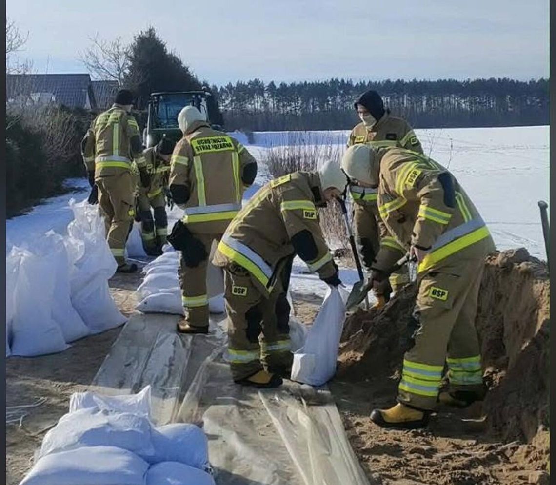 Roztopy pod lupą. Służby zabezpieczały teren przy ROD „Piast” w Złotowie Roztopy pod lupą. Służby zabezpieczały teren przy ROD „Piast” w Złotowie