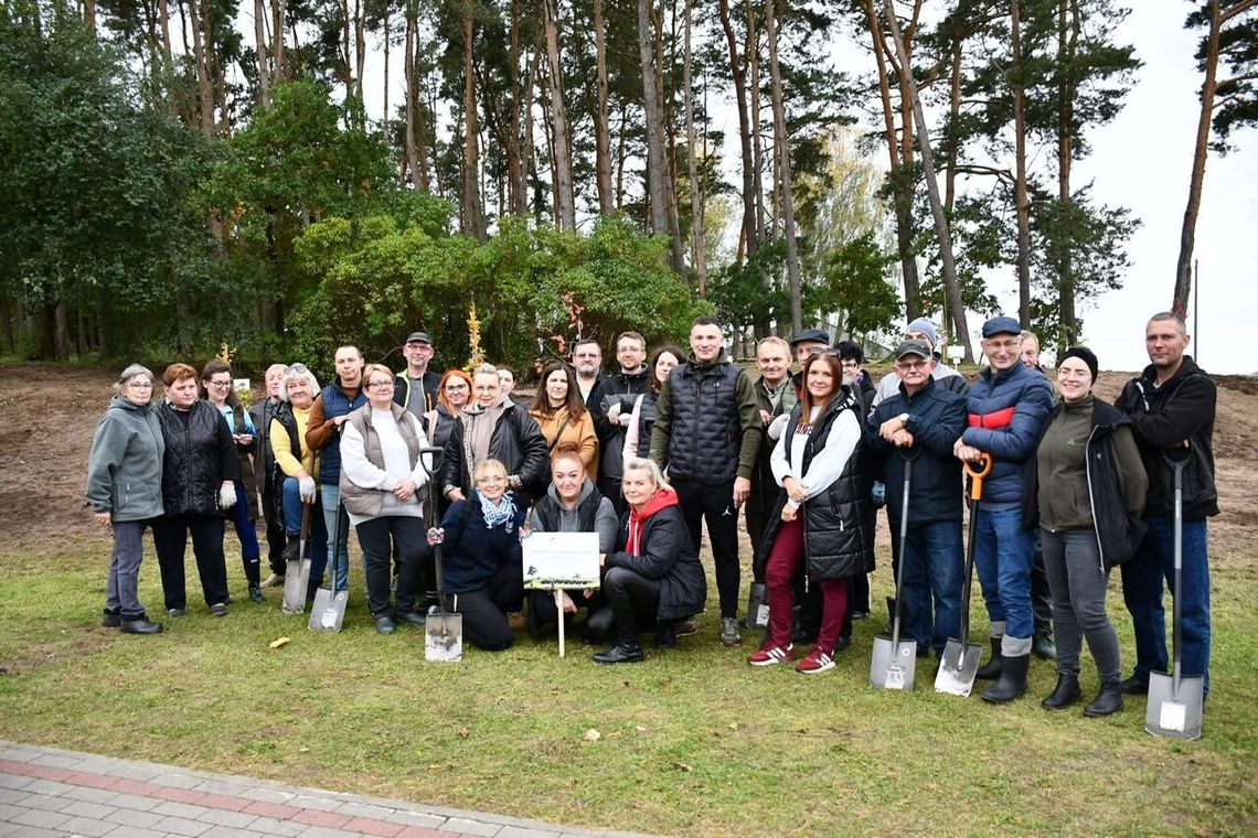 Sołeckie drzewa dla zielonej przyszłości – wspólne sadzenie w Zakrzewie