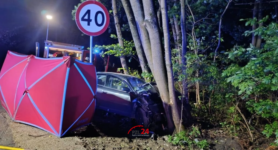 Tragiczny poranek pod Łobżenicą. Audi uderzyło w drzewo, zginęła 27-letnia kobieta Tragiczny poranek pod Łobżenicą. Audi uderzyło w drzewo, zginęła 27-letnia kobieta