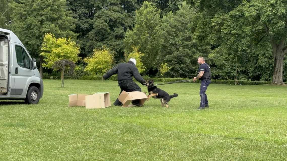 Trwa święto Policji w Złotowie – Piknik z Policją na Półwyspie Rybackim