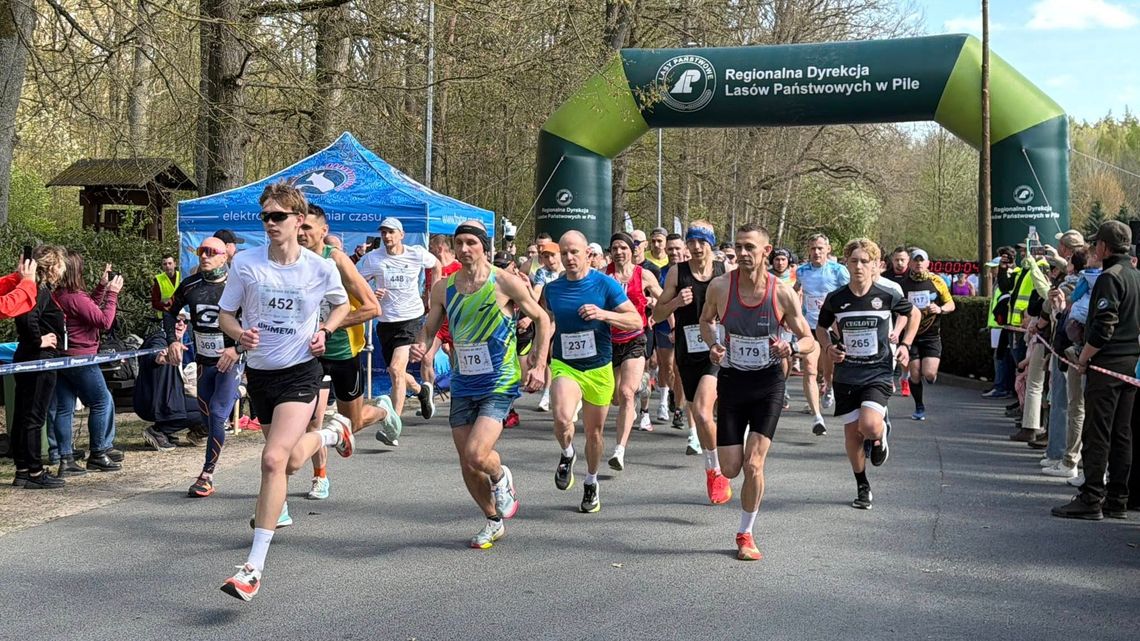 XVIII Złotowski Bieg Zawilca już za nami [FOTO]