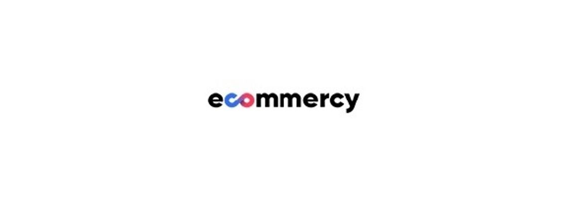 Tworzenie stron internetowych Poznań - Ecommercy