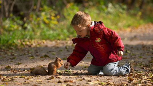 673 przedszkola w województwie wielkopolskim uczy dzieci jak dbać o naturę 