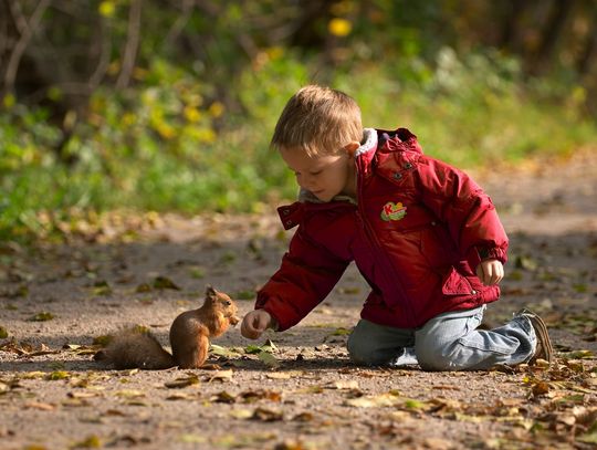 673 przedszkola w województwie wielkopolskim uczy dzieci jak dbać o naturę 